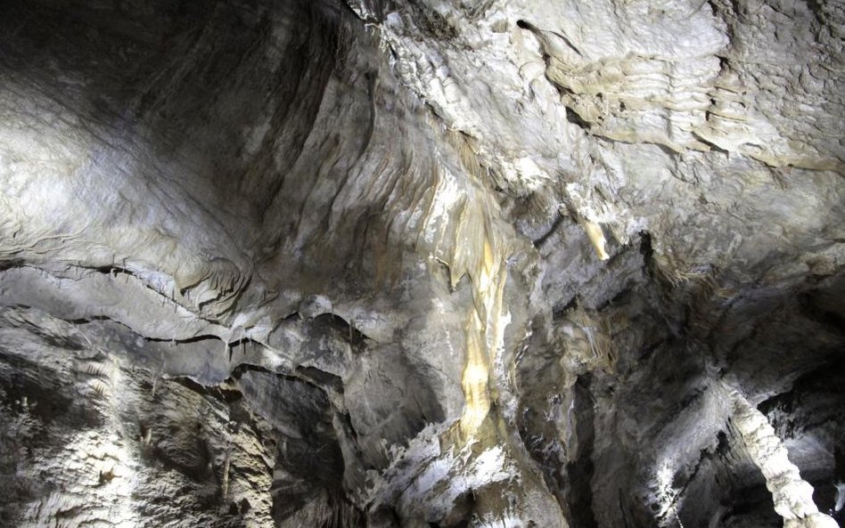 Jaskinie w Han-sur-Lesse w Belgii