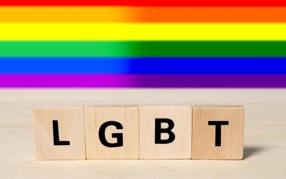 Sąd: tęczowy herb miasta i komentarz "proLGBT, precz z narodowcami" nie znieważają