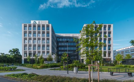 Kruk złapał nieco wiatru pod skrzydła po wstępnych wynikach finansowych