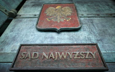 Skarga kasacyjna Prokuratora Generalnego w sprawie wydania małoletniej obywatelki Polski do Feraracji Rosyjskiej uwzględniona