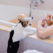 Zamiast obwiniać ludzi za wybór „psiecka”, należałoby się zastanowić, dlaczego nie decydują się na d
