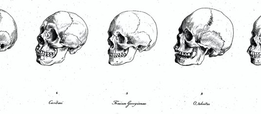 Wizerunki ludzkich czaszek. Na ich podstawie niemiecki antropolog prof. Johann F. Blumenbach (1752–1
