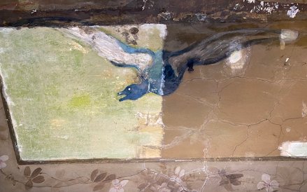 Na przykładzie kaczki doskonale widać różnicę pomiędzy efektem konserwacji a jej brakiem