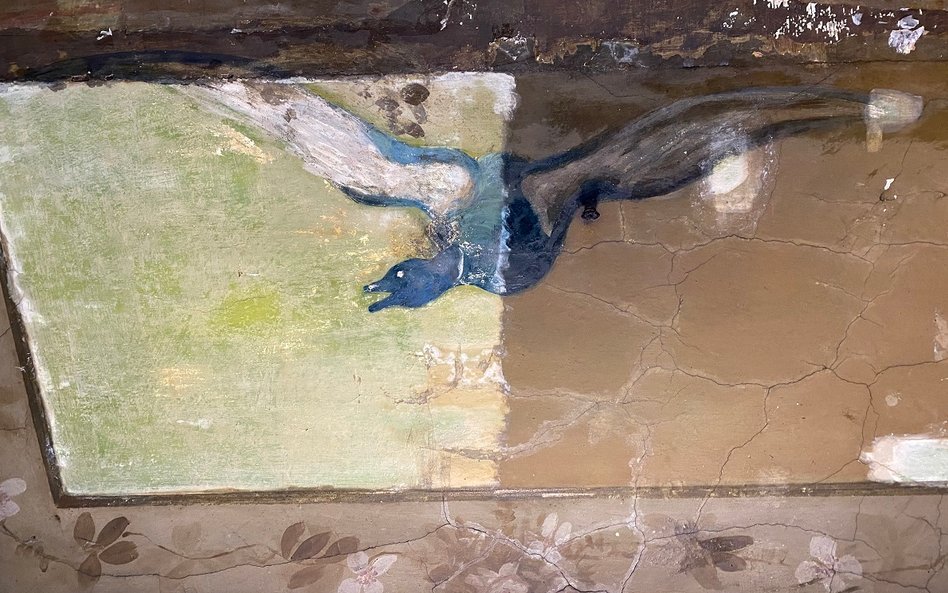 Na przykładzie kaczki doskonale widać różnicę pomiędzy efektem konserwacji a jej brakiem