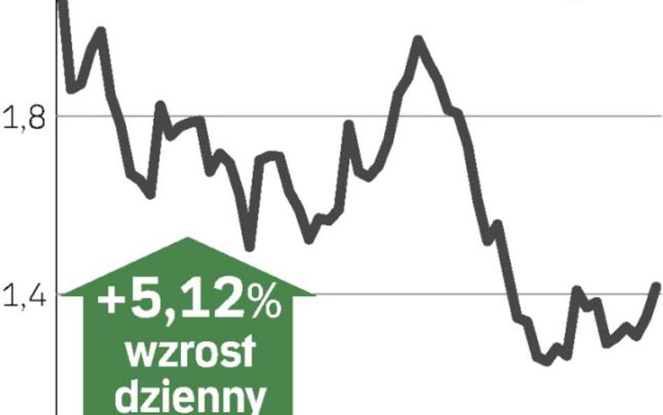 Libijczycy inwestują