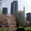Mniej milionowych wypłat w bankach