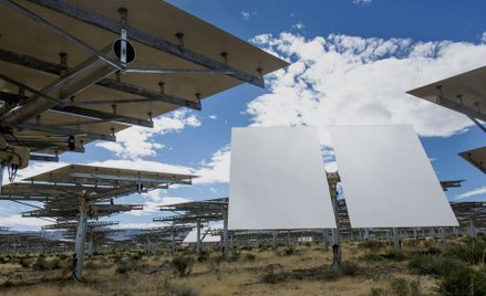 Energa wybudowała w Gdańsku największą farmę fotowoltaiczną w Polsce. Panele słoneczne o łącznej moc