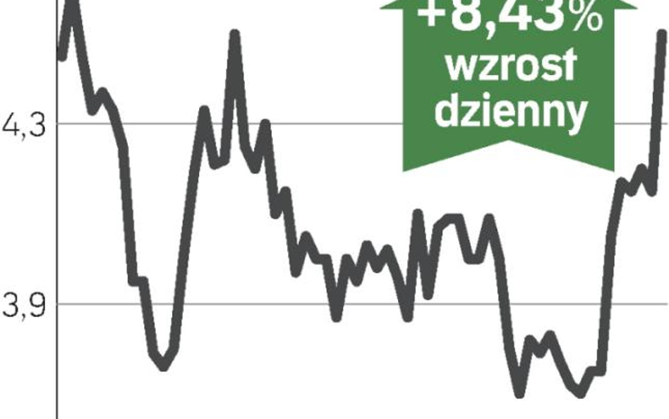 Wyniki i zapowiedzi podbiły kurs