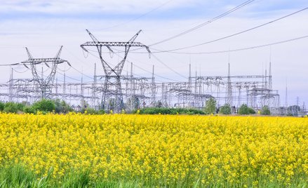 Zdaniem analityków, jeżeli rząd przewiduje rekompensaty za mrożenie cen prądu na drugą połowę roku, 