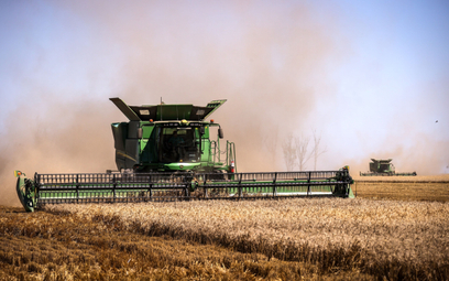 Spekulanci windują ceny zbóż na światowych rynkach