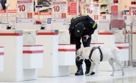 Nie ma większego zagrożenia terroryzmem