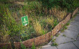 Ogród biocenotyczny to specjalny typ ogrodu funkcjonujący jak miniaturowy, samowystarczalny ekosyste