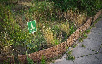 Ogród biocenotyczny to specjalny typ ogrodu funkcjonujący jak miniaturowy, samowystarczalny ekosyste