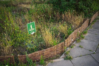 Ogród biocenotyczny to specjalny typ ogrodu funkcjonujący jak miniaturowy, samowystarczalny ekosyste