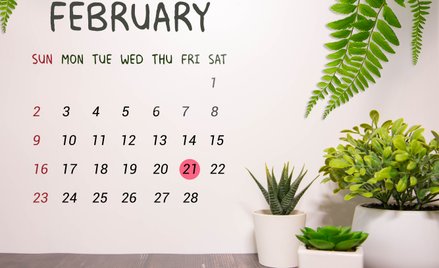 Wydarzy się dziś. Kalendarium wydarzeń na rynkach w dniu 21.02.2025