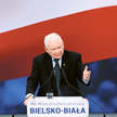 Jarosław Kaczyński na spotkaniu w Bielsku-Białej 13 listopada ostrzegał przed przesadnym radykalizme