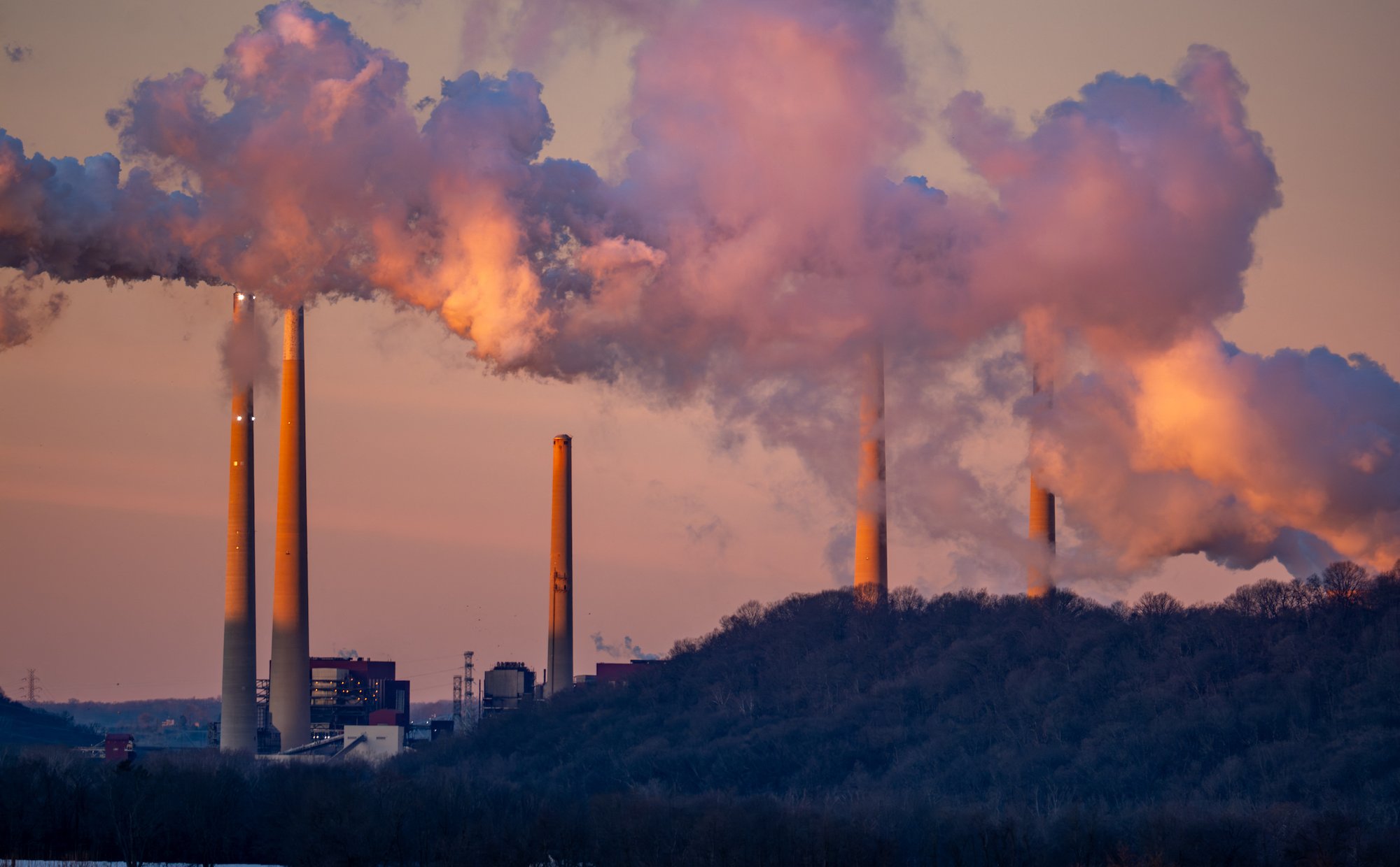 Na niszczenie przyrody wydajemy znacznie więcej niż jej ratowanie. ONZ alarmuje