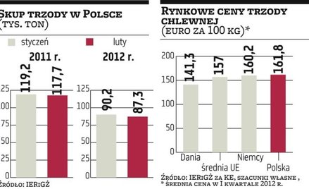 Zyski spółek mięsnych w cieniu rekordowo drogiego surowca