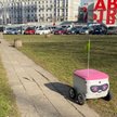Dostawcze automaty  na kołach wjechały  do Warszawy. Za innowacyjnym projektem  stoi startup Deliver