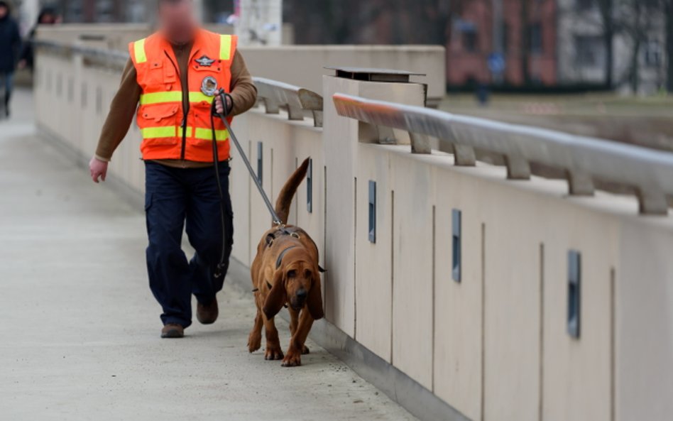 Ekwiwalent dla policjanta za opiekę nad psem służbowym - wyrok WSA