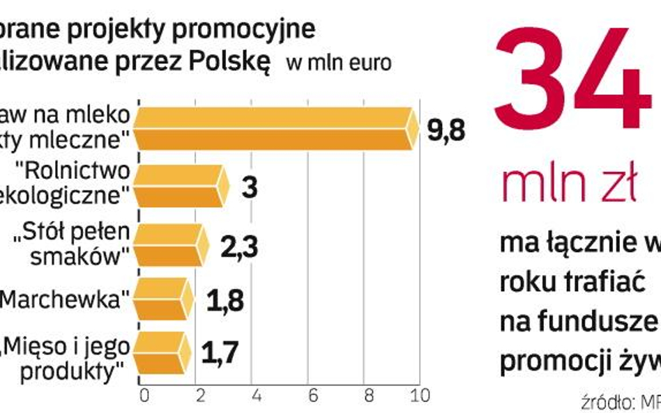 Fundusze promocji mają ułatwić pozyskiwanie dotacji z Brukseli. Będą wykorzystywane między innymi ja