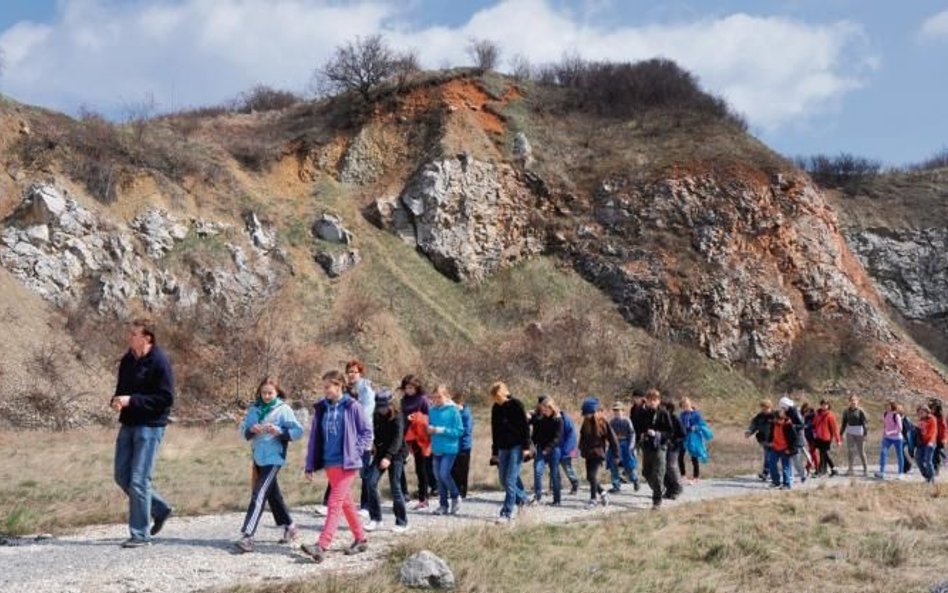 Liczba gości w regionie systematycznie rośnie. W 2016 r. w Świętokrzyskiem zostało sprzedanych 1 mln