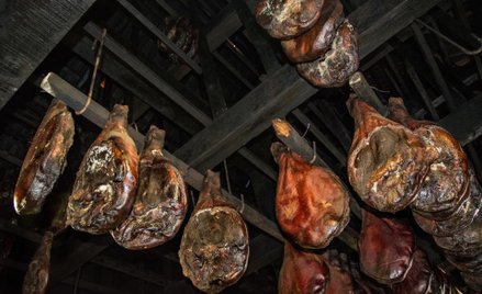 Renesans technologii z epoki kamienia łupanego