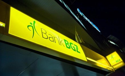 MSP zdecydowało ograniczyć ofertę sprzedaży banku BGŻ do 12 proc. kapitału z 37,2 proc. wcześniej pl