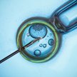 Terlikowski: In vitro: Zbyt wysoka cena szczęścia