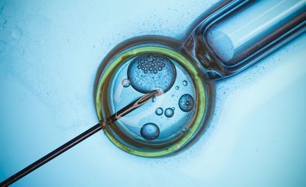 Terlikowski: In vitro na czarnym rynku
