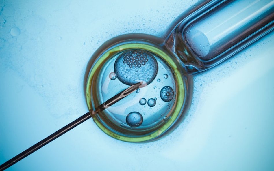 Terlikowski: In vitro na czarnym rynku