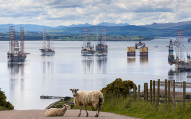 Szkocki dylemat: ropa i gaz, czy jednak wiatr