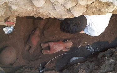 Grobowiec i figurki odkryto podczas remontu kościoła.