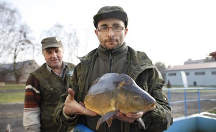 Blady strach padł na hodowców ryb.