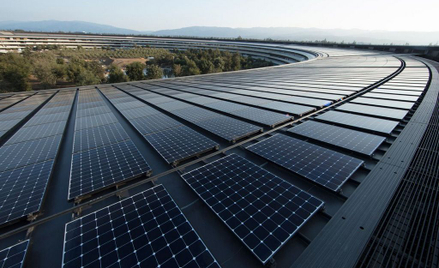 Apple odnawialne na 100 procent. Gigant używa tylko czystej energii