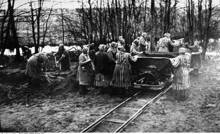 IPN : gwałciciele z Armii Czerwonej