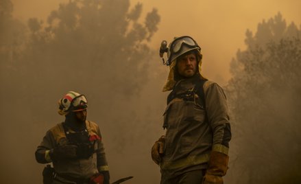 El Niño wpływa na globalny klimat i zakłóca normalne wzorce pogodowe, co w rezultacie może prowadzić
