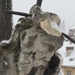 Głowa Chrystusa Frasobliwego we Lwowie przed konserwacją