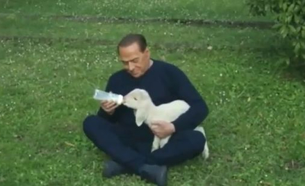Berlusconi apeluje o zakończenie masakry jagniąt