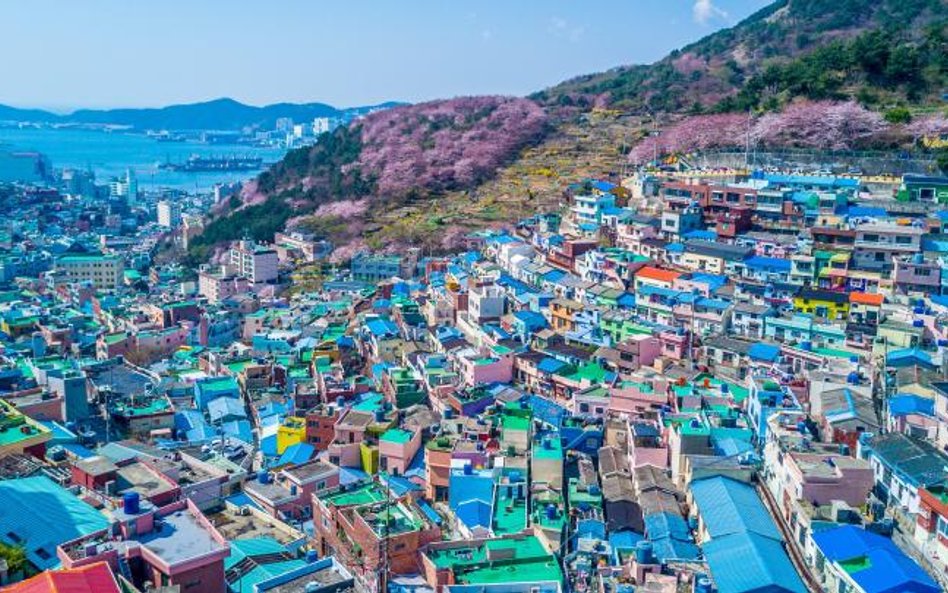 Jeszcze inną zwyczajową nazwą Korei jest Kraj Spokojnego Poranka