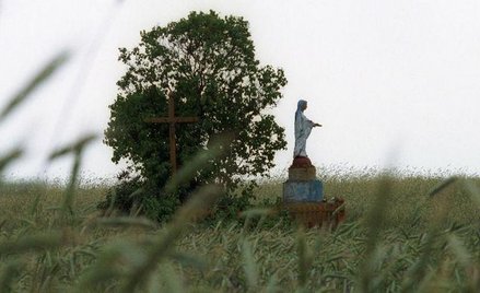 Figura Matki Boskiej ocalała we wsi Ostrówki na Wołyniu.