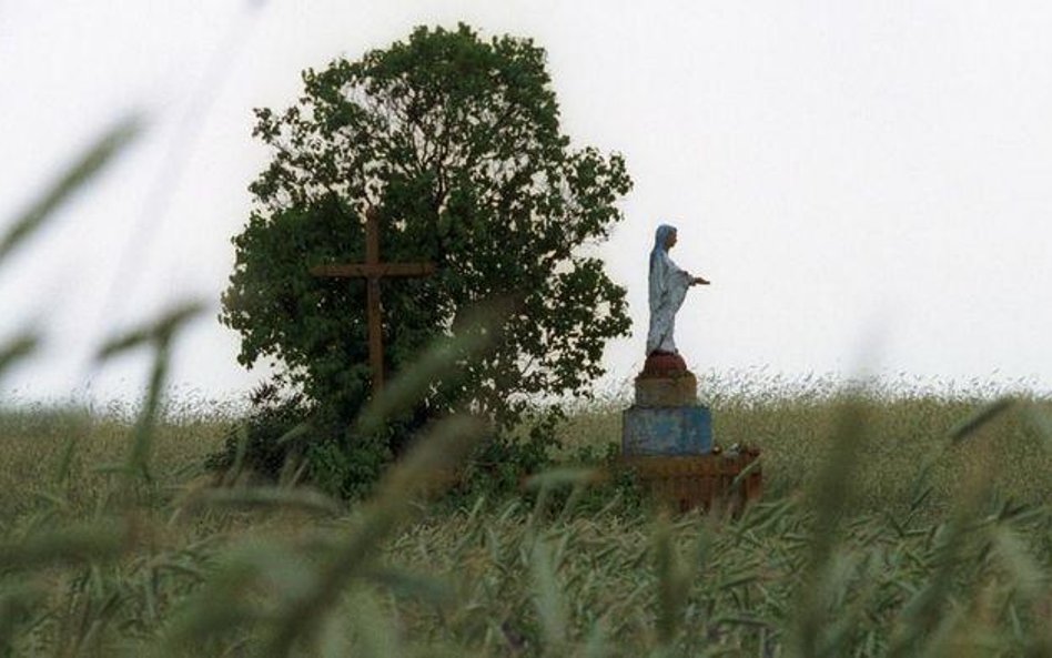 Figura Matki Boskiej ocalała we wsi Ostrówki na Wołyniu.