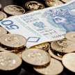 W całym 2016 r. wartość portfela obligacji Skarbu Państwa znajdujących się w rękach banków urosła o 
