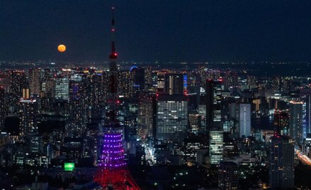 Księżyc nad Tokio