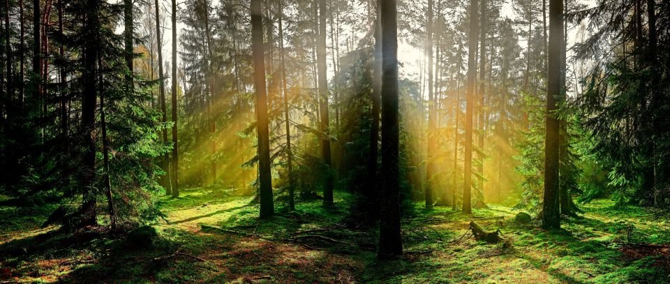 Павел Конзал: 50 злотых с каждого полюса, и у нас есть естественный барьер против России