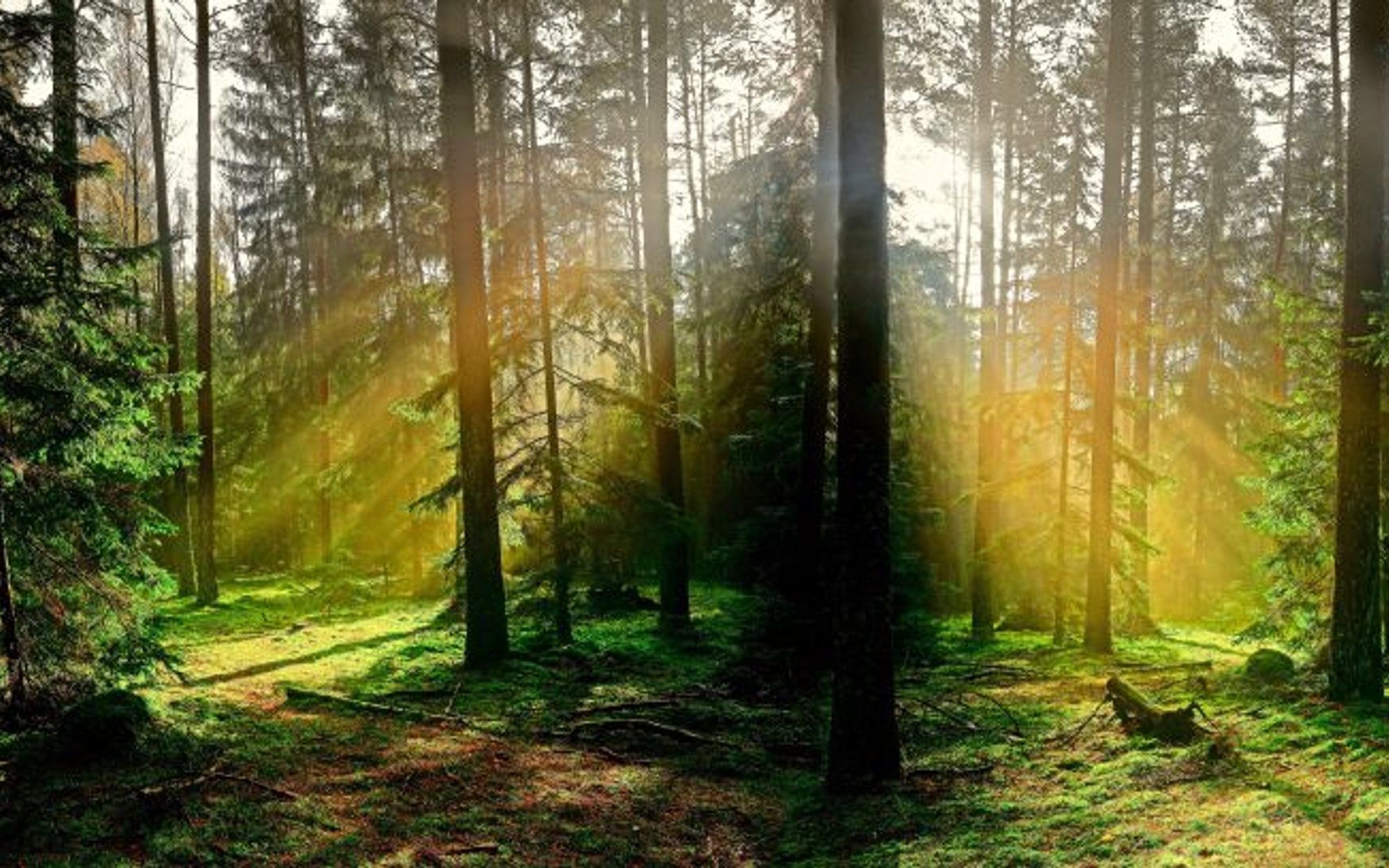 Paweł Konzal: 50 zł od każdego Polaka i mamy naturalną zaporę przed Rosją