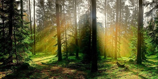 Paweł Konzal: 50 zlotys from each Pole and we have a natural barrier against Russia