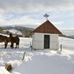 Beskid Niski w zimowej szacie
