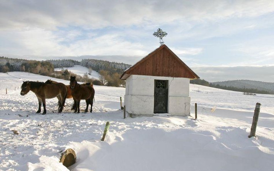 Beskid Niski w zimowej szacie