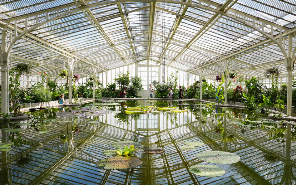 „Ogrody botaniczne są przepełnione” – mówi profesor Sam Brockington, kurator Ogrodu Botanicznego Uni